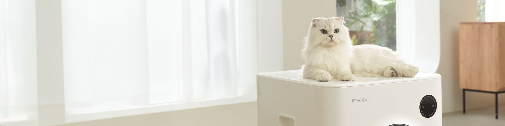 cat_supplies_category_banner_without_text