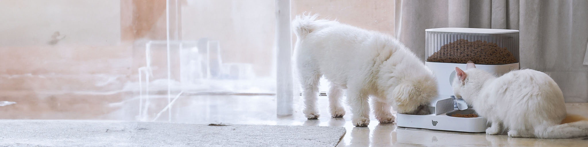 Pet Bowls & Feeding Accessories