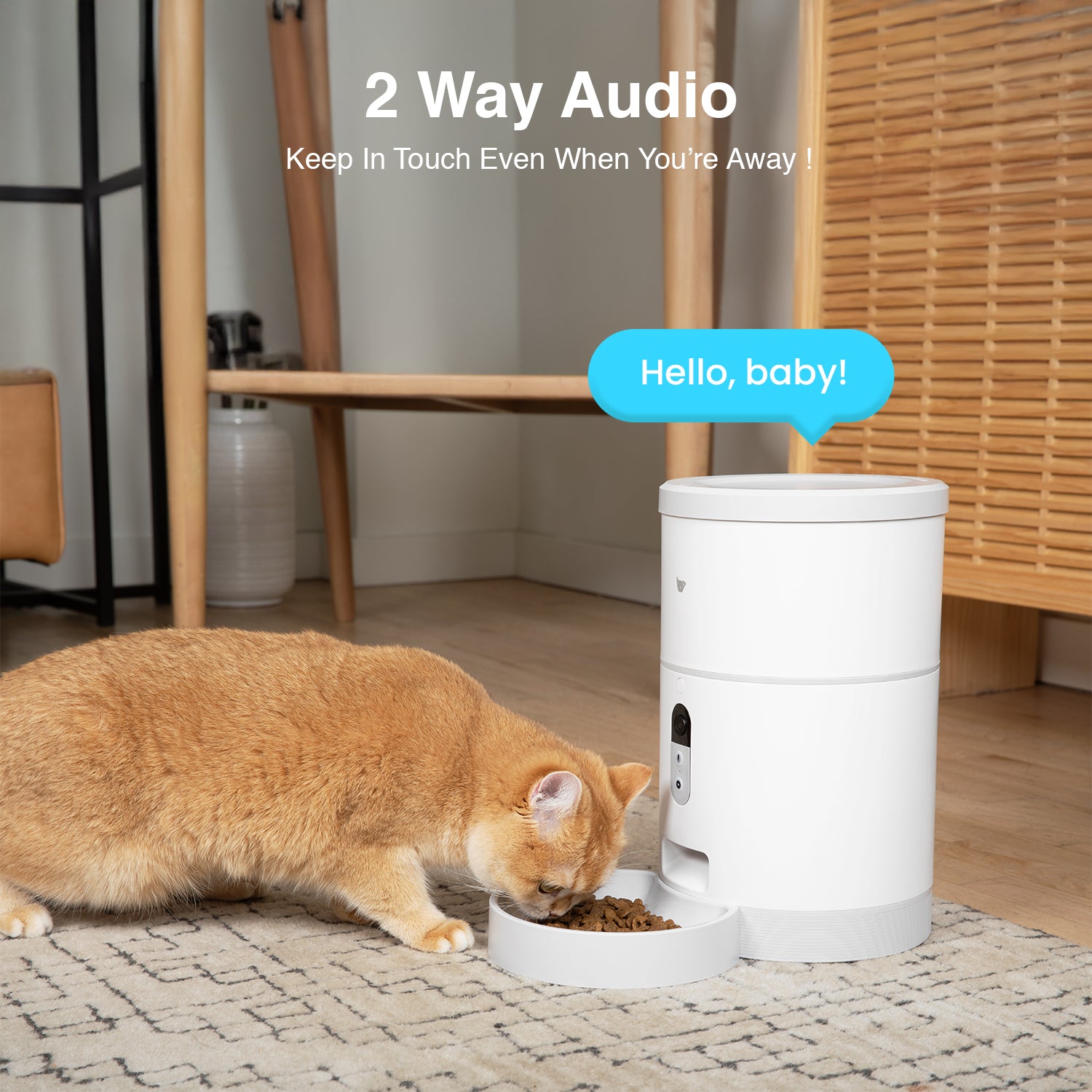 Purechew Sight 4L Smart App Pet Feeder for Cats and Dogs with HD Camera