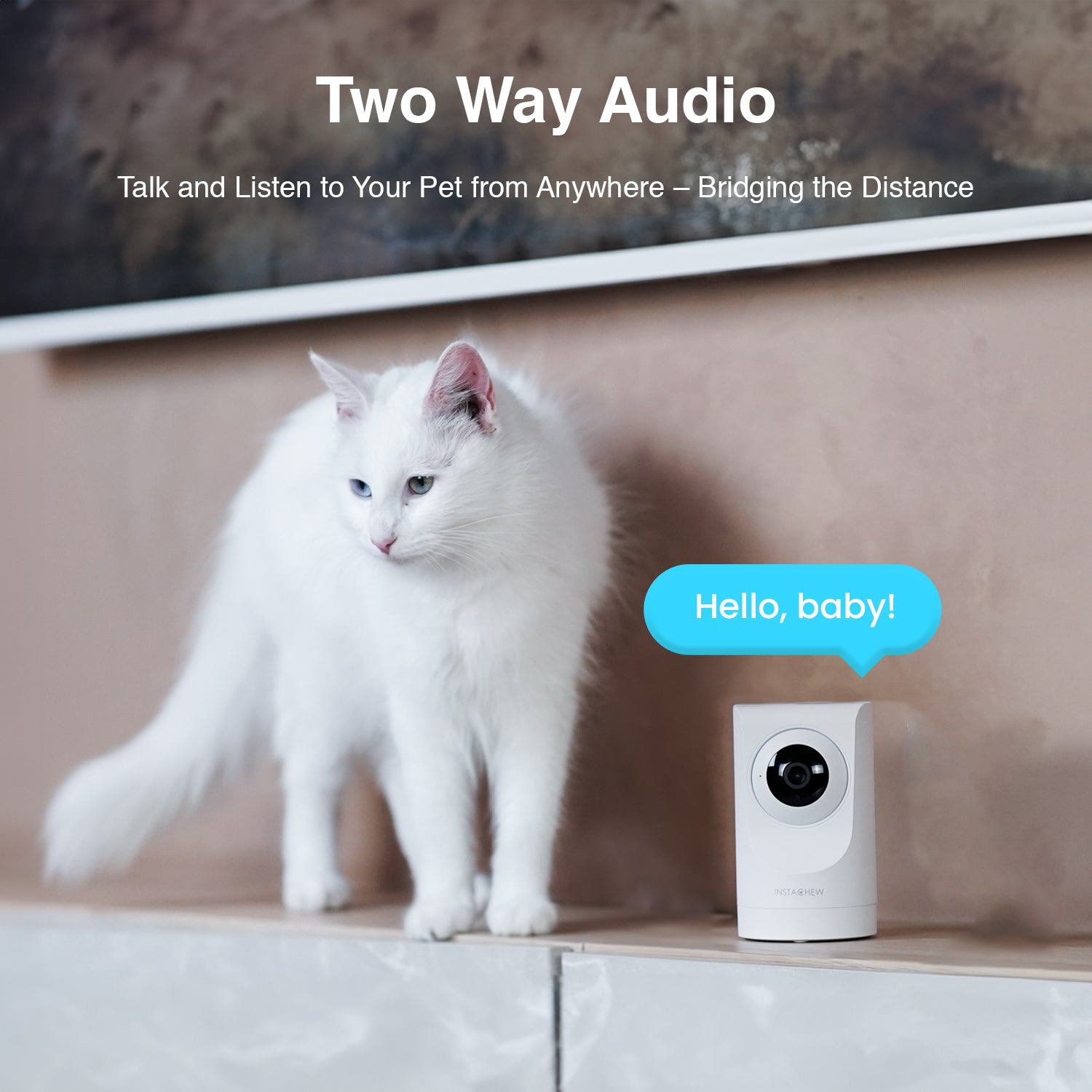 Purrsight 360° Smart App Pet Camera with Night Vision and 2 Way Audio 3pc Bundle