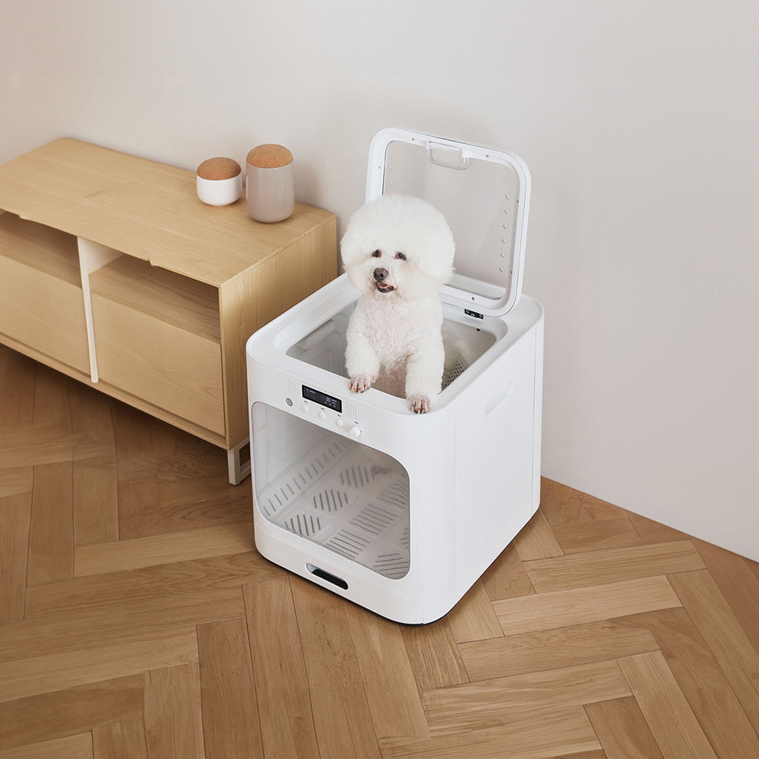 7 Tips for Bathing Your Pet Correctly at Home