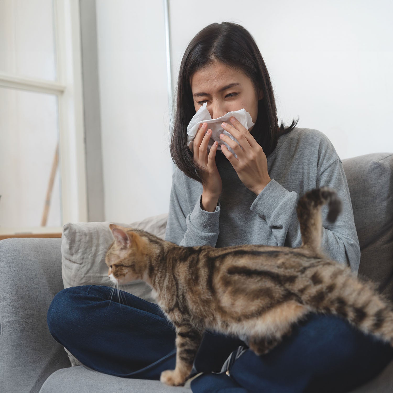 Are You at Risk? The Surprising Dangers of Cat Litter