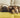 Dog Breeds That Are Good With Cats