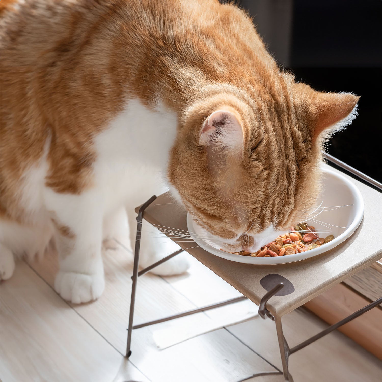 Spoil Your Pet: Easy Homemade Treat Recipes