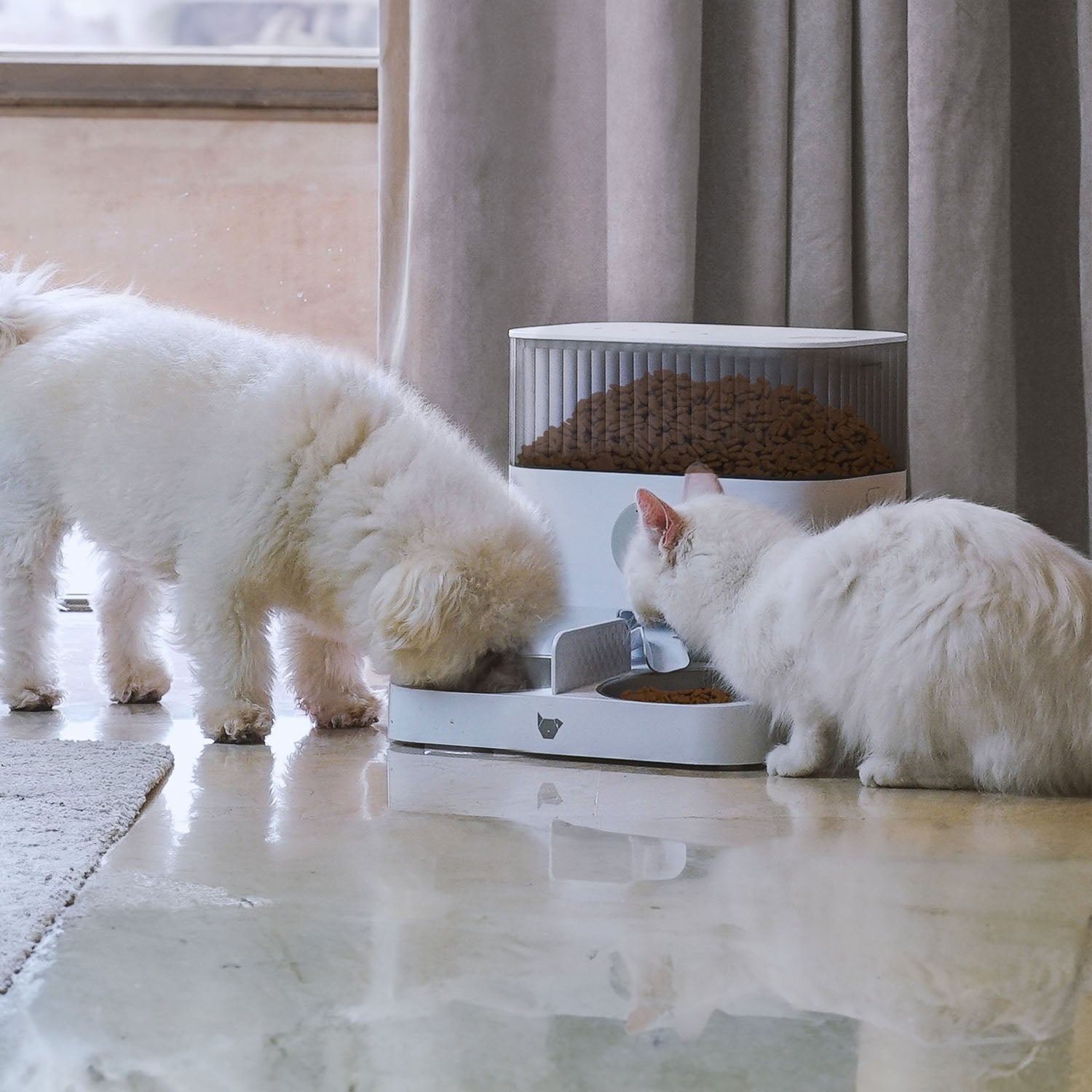 Pet Bowls & Feeding Accessories