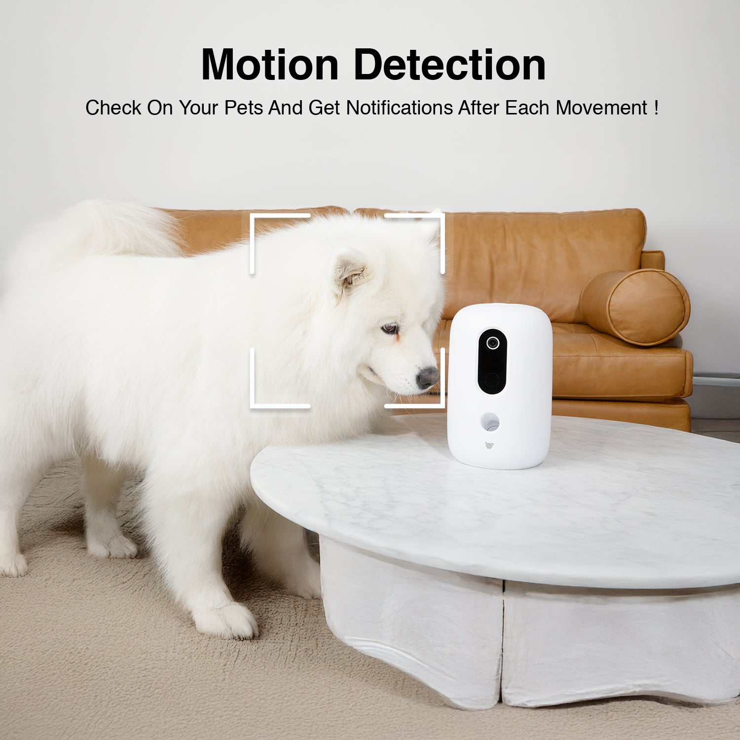 Purechew Snack Automatic App Pet Treat Dispenser with HD Camera