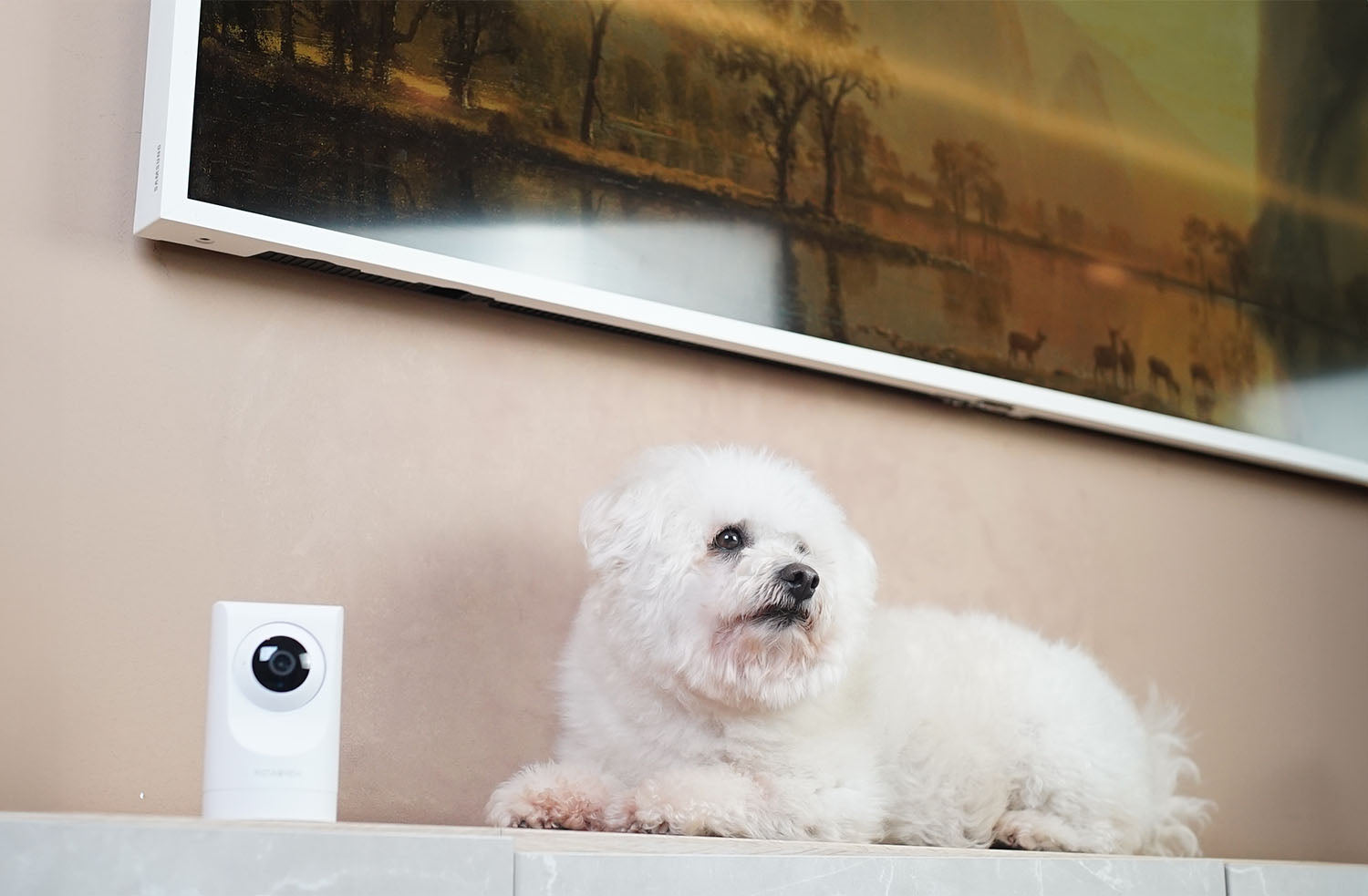 IC136W_purrsight_360_smart_pet_camera_360_angle