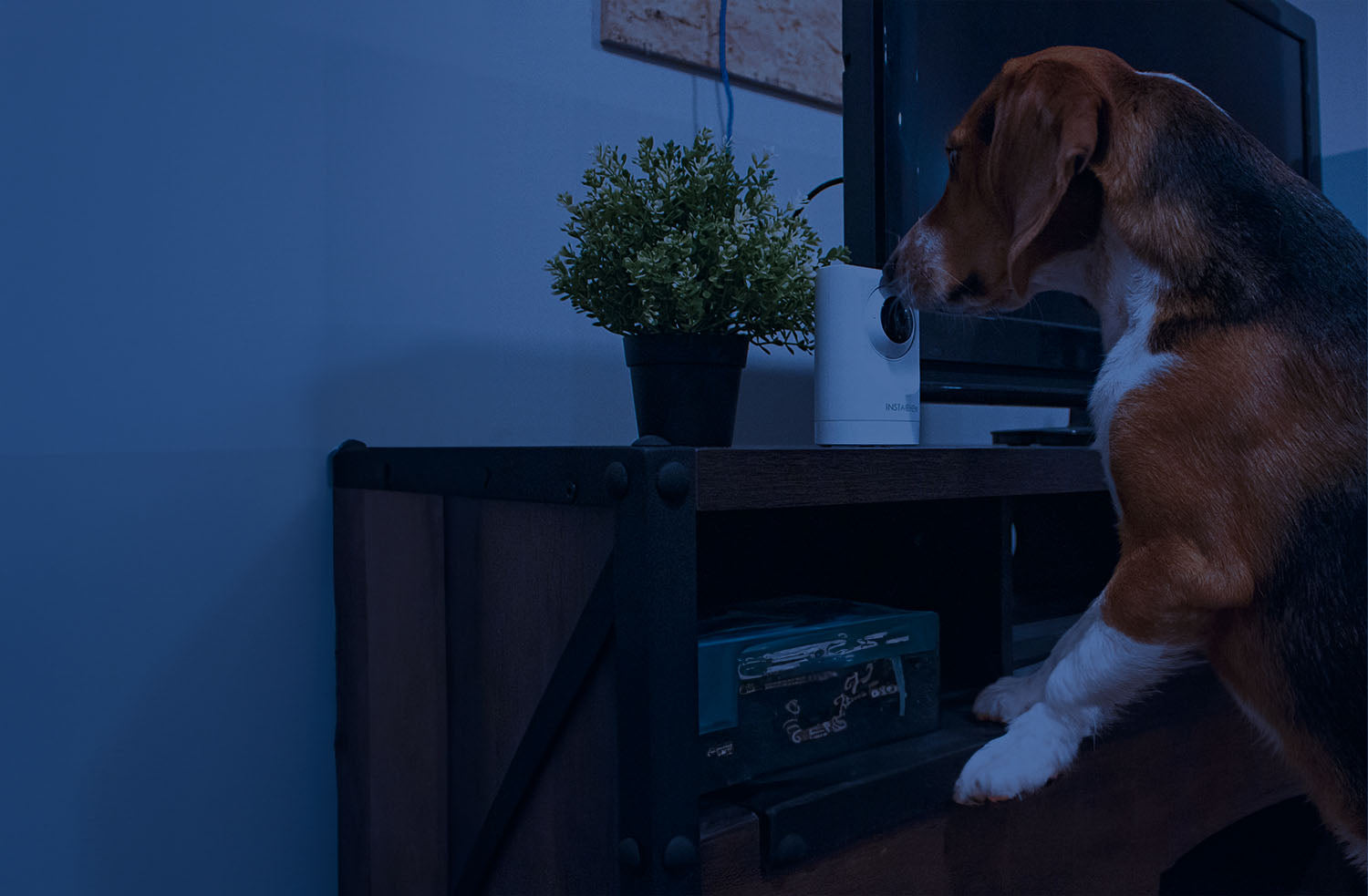 IC136W_purrsight_360_smart_pet_camera_night_vision