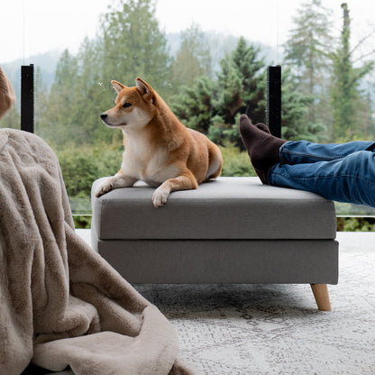 BENCHI Pet Ottomon - One Size