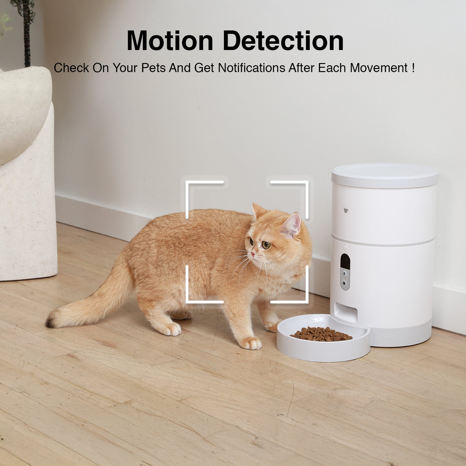 Purechew Sight 4L Smart App Pet Feeder for Cats and Dogs with HD Camera