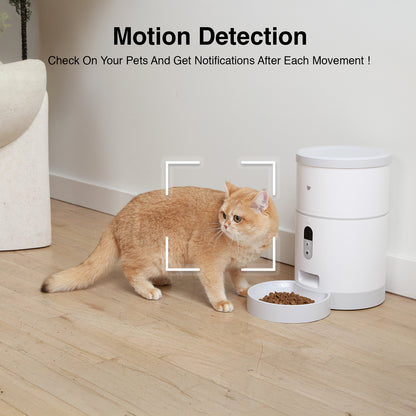 Purechew Sight 4L Smart App Pet Feeder for Cats and Dogs with HD Camera