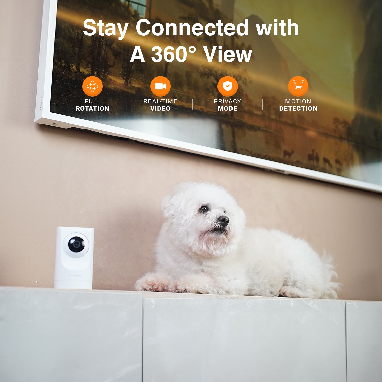 Purrsight 360° Smart App Pet Camera with Night Vision and 2 Way Audio 3pc Bundle