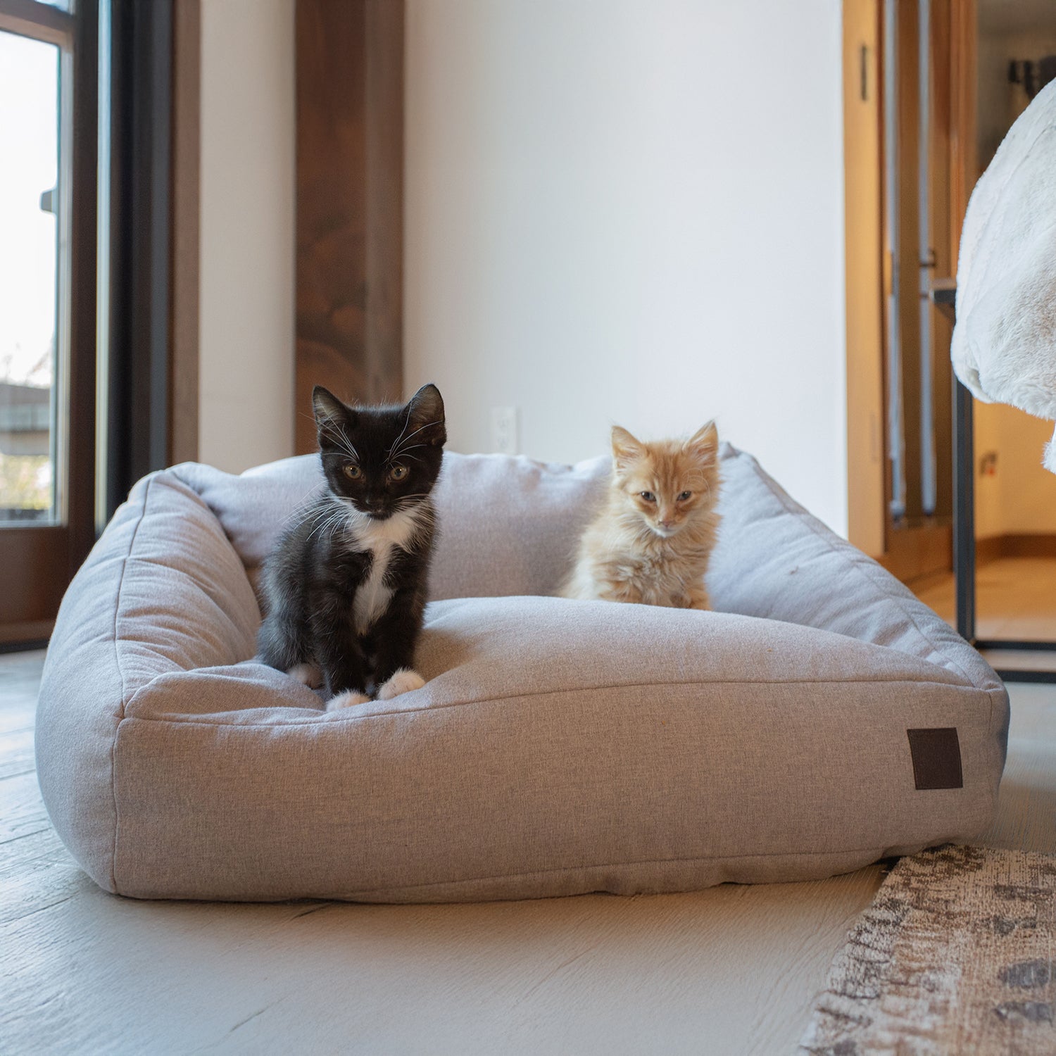 LOAFER Pet Sofa Bed Carbon One Size