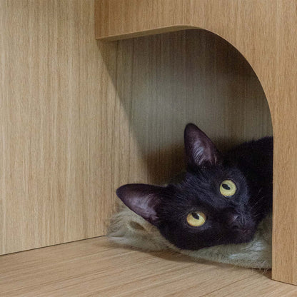 CLIFFORD Premium Multifunctional Cat Furniture with Storage - One size