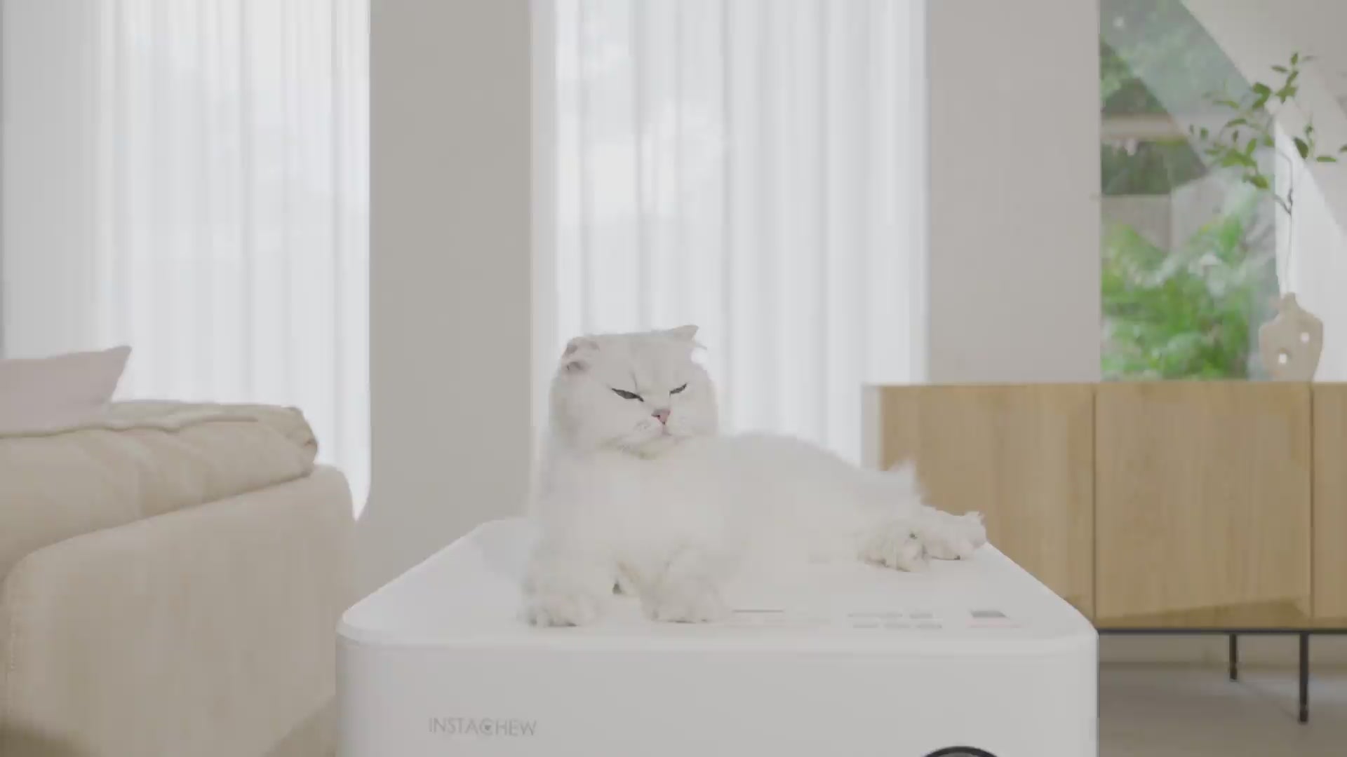 Load video: 